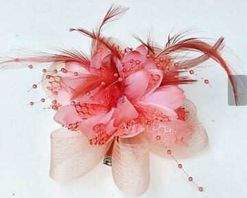 Pink fasc