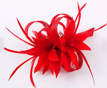 Red feathers